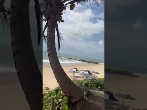CONHECENDO A PRAIA DE COQUEIRINHO EM PARAIBA! 🌴☀️ (Vale a pena?)