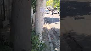 PR JULIO QUEBROU TUDO CONTRA OS PASTORES ESCANDALO VEJA