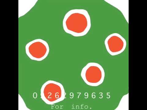 SALUTEM OXYGENATED OIL