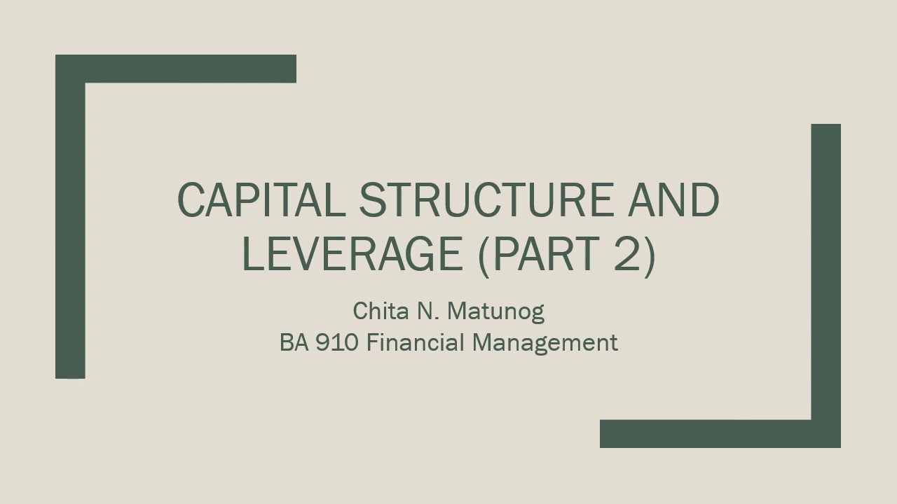 PPT CAPITAL STRUCTURE AND LEVERAGE