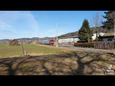 Durchfahrt der ZKB Re 450 Elefantentram, S3 in Auslikon nach Wetzikon