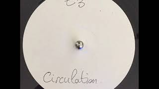 Circulation - Back In Circulation