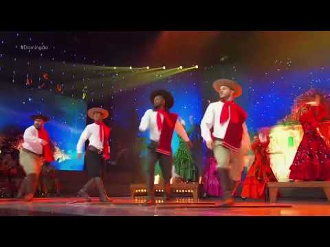 Dança dos Famosos 2024 - ( Grupo D 💜 ) Danças Regionais