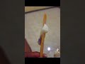 Fucking