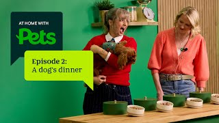 What should you REALLY feed your dog? Finding the paw-fect meal | At Home with Pets