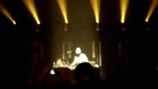 Malk De Koijn Store vega d13112009  - Jernskjorten