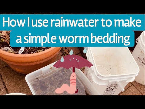 How I use rainwater to make a simple, aged worm bedding