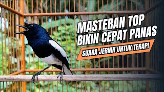 Download lagu suara BURUNG kacer GACOR ngeplong KONSLET Tarung ini Paling Ampuh buat PANCINGAN KACER agar EMOSI mp3