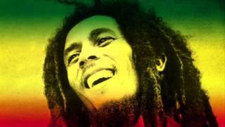 Bob Marley - Soul Shake Down Party