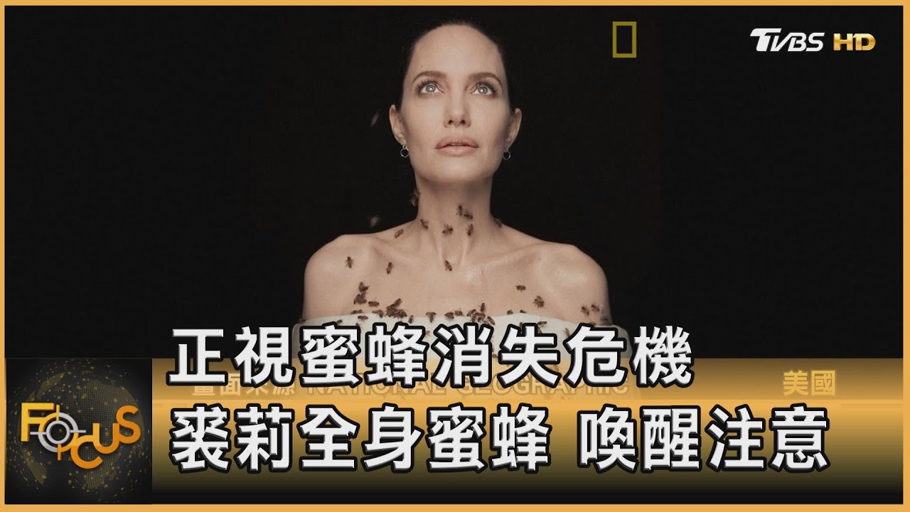 正視蜜蜂消失危機 裘莉全身蜜蜂.喚醒注意!