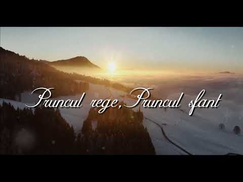 David Stănuș | Ascultați răsună corul (Colind)