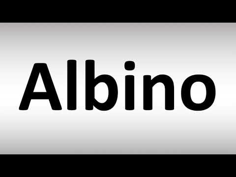 How to Pronounce Albino