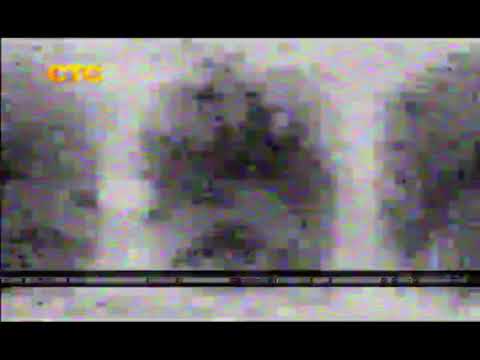 sts_profilaktika2013