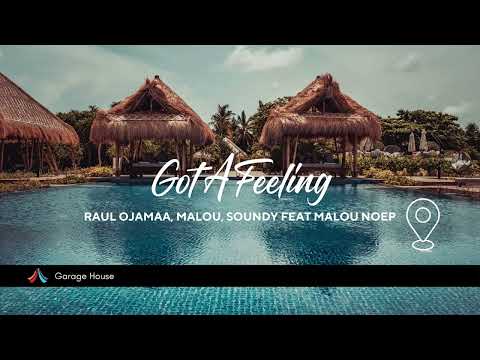 Got a Feeling - Raul Ojamaa, Malou, Soundy feat  Malou, NOËP (New Beats) #edm #garagehouse #maivibes