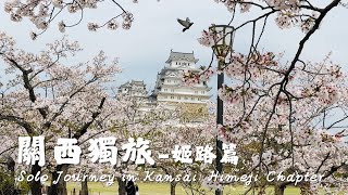 Solo Trip in Kansai 🇯🇵 Himeji Castle Adventure | Japan’s #1 Castle & Umeda Yakiniku Night ✨