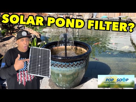 POWER your POND with SOLAR? *POPOSOAP Solar Water Pump