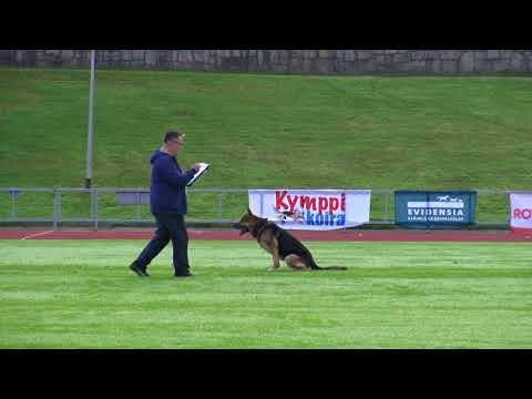 B 87 symppis duudson