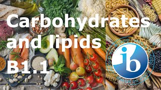 IB Biology – B1.1 Carbohydrates and Lipids
