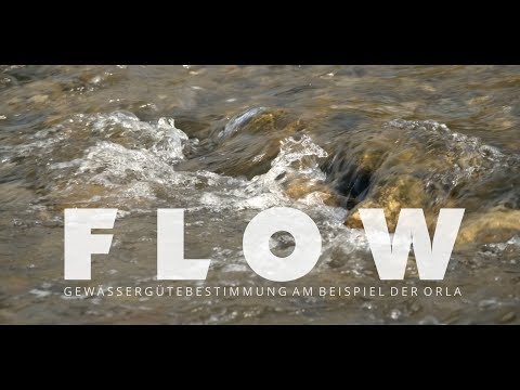 FLOW - Gewässergütebestimmung am Beispiel der Orla