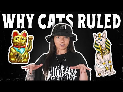 Cómo los gatos se convirtieron en nuestros dioses | Historia de los gatos, episodio 5 | Lindsay N...