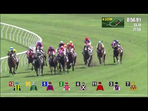 29/5/2022 (705) Gracylove - L Ferraris