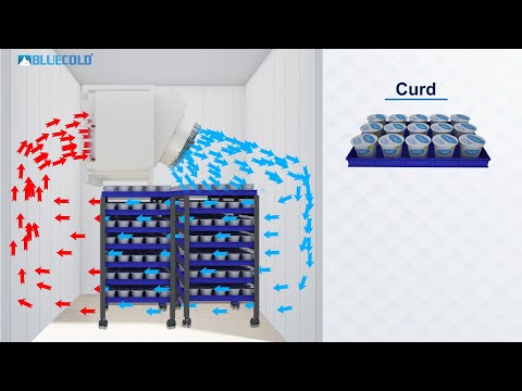 Blue cold curd incubation and storage room, for industrial