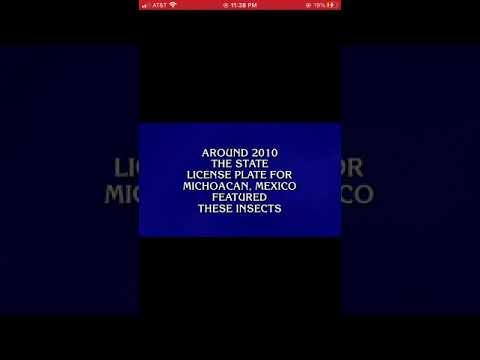 Final Jeopardy #8256 Kevin Walsh 3