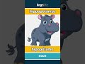 hippopotamus - hipopótamo video thumbnail