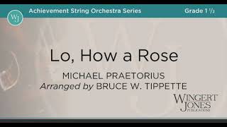 Lo, How a Rose
