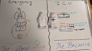 Flow and balance: Secret of Emergency care and Intensive care