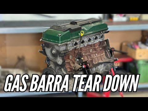 $800 BA GAS BARRA TEARDOWN! - 230,000KM! And it’s fresh as!