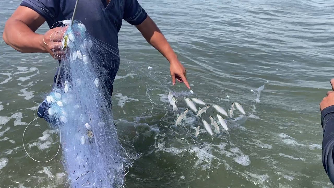 Thả Lưới Bắt Cá Ngày Biển Động - Thành quả khá bất ngờ