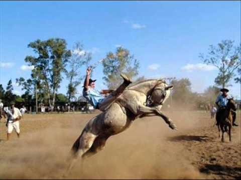 Cavalo Que Pula - Tião Carreiro e Pardinho