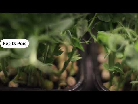 Vidéo 2 — Les Jardins de l'Huma