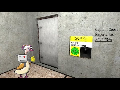 Captain Goose experiences: SCP-1346