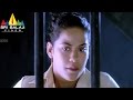 Mangatayaru Tiffin Center Telugu Movie Part 11 11 Mumaith Khan Sri Balaji Video