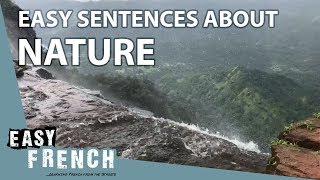 Easy sentences about nature | Super Easy French 50