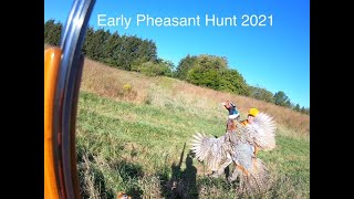 Pheasant Hunting (Dog Training)