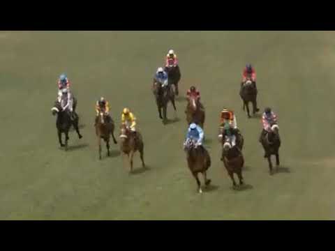 Head on Race 4 Turffontein
