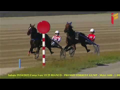 III Corsa del 29 ottobre 2022 - 3 Anni - Metri 1600