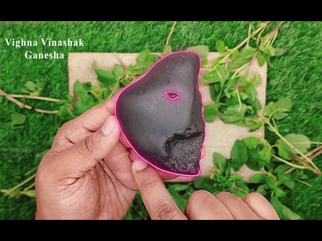 Vighna Vinashak Vishnu Lakshmi Saligram with Saligram Mala video