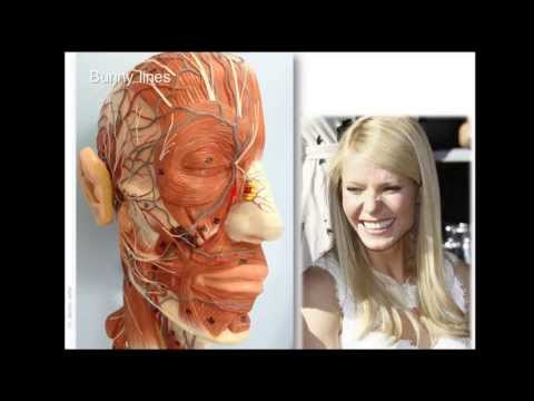 Anatomia powstawania lini zmarszczek i miejsc wstrzyknięcia Botoxu 