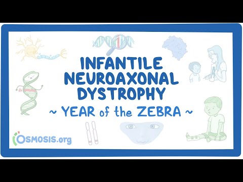 Canavan disease Year of the Zebra