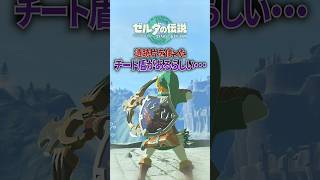 敵の攻撃を防いで自分の攻撃は通せるチート盾が作れるらしい...#ゼルダの伝説 #ティアキン #shorts