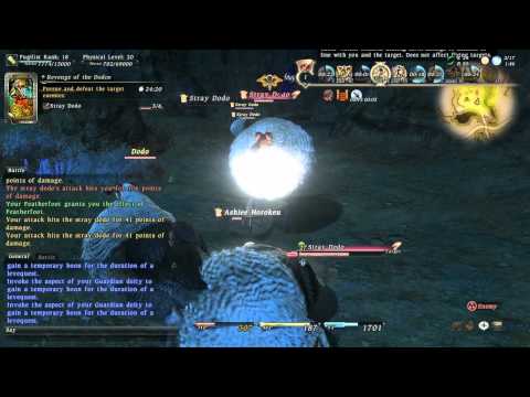 Let's Play Final Fantasy XIV [125] Leves