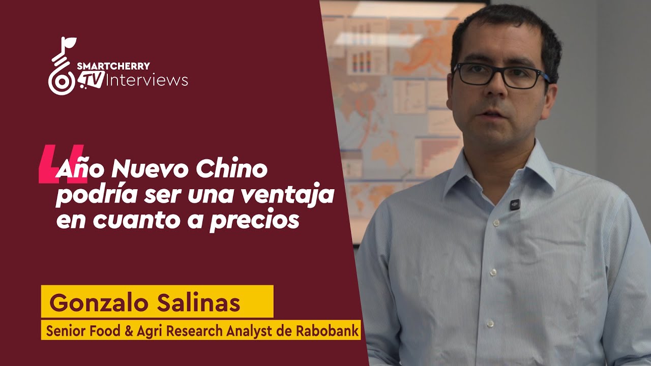 Gonzalo Salinas: "Lo que ofrece China en cuanto a precios es difícil de igualar por otros mercados"
