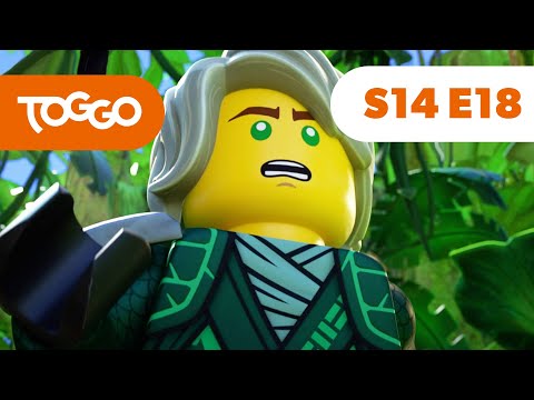 NINJAGO Deutsch | Rückkehr ins Auge des Urwalds | S14 F18 | LEGO | Ganze Folge | TOGGO ​Serien