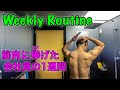 【ルーティン】ボディビルダーを目指す会社員の筋トレ１週間/WEEKLY WORK OUT ROUTINE IN JAPAN.