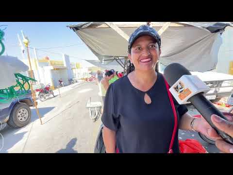 Última Feira de 2025 em Senador Rui Palmeira - AL 30 - 12 - 2025 #nordeste