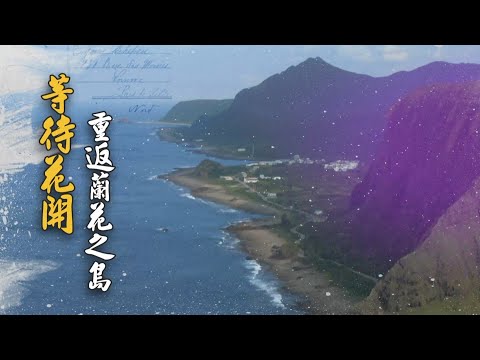 等待花開 重返蘭花之島｜搶救原生種｜華視新聞雜誌